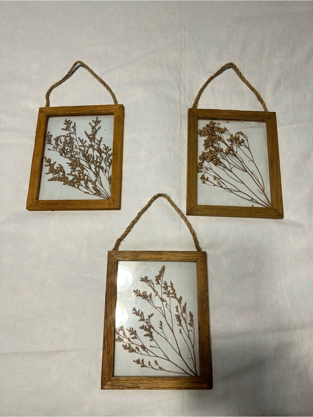 Set of 3 Rustic Wood Hanging Frames with Pressed Botanicals - Brown